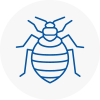 Bed Bug Extermination In Stratford