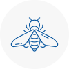 Bee Nest Removal Stratford