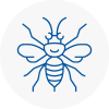 Stratford Hornet Nest Removals