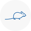 Mice Exterminators In Stratford