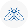 Moth Control Specialists In Stratford