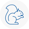 Stratford Rodent Removals
