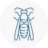 Stratford Wasp Nest Removal